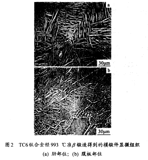 TC6鈦合金經993 ℃準鍛造得到的模鍛件顯微組織(a) 肋部位；(b) 腹板部位